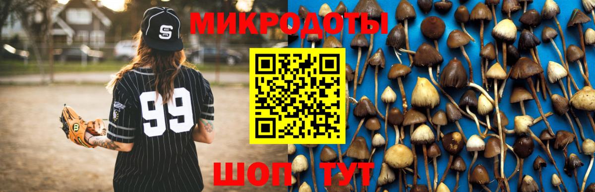 Галлюциногенные грибы MAGIC MUSHROOMS Домодедово